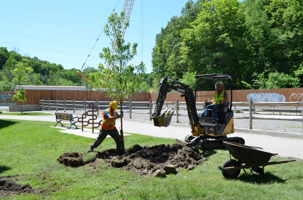 Commercial Landscaping