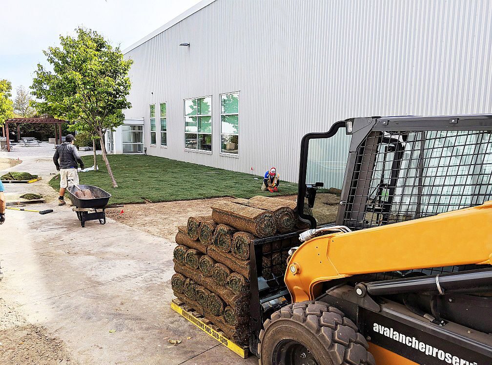 Landscape Construction